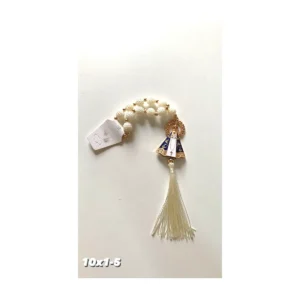 Dezena Carro Nossa Senhora Aparecida